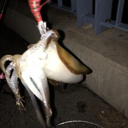 赤坂海岸で2時間