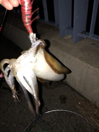 赤坂海岸で2時間