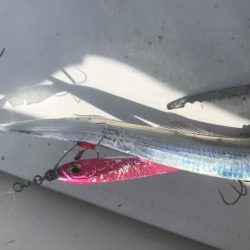 タチウオジギング