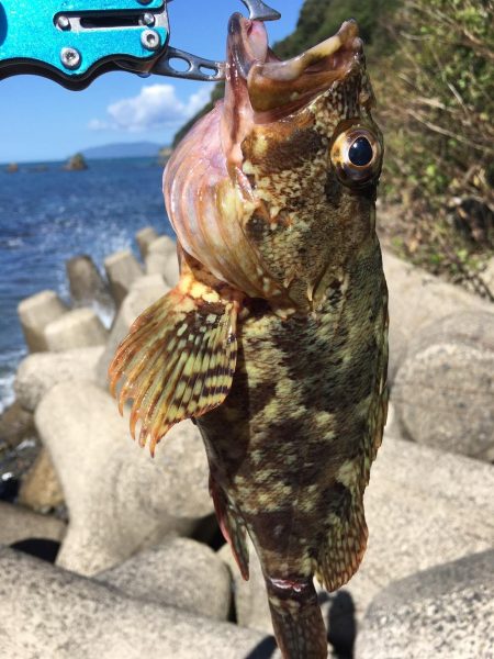 台風後ショアジギング！！