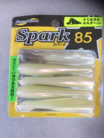 イカダメ、タチ2