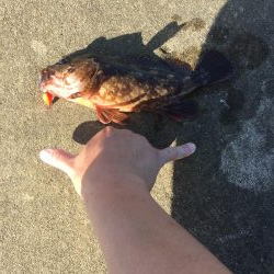 久しぶりの穴釣り