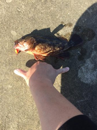 久しぶりの穴釣り