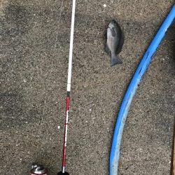 小豆島 家族旅行の合間に♪