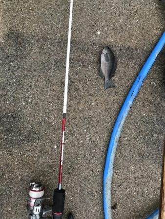 小豆島 家族旅行の合間に♪