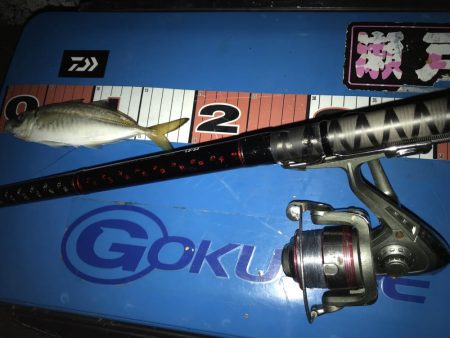 フカセ釣り 撃沈^^;アジのみ