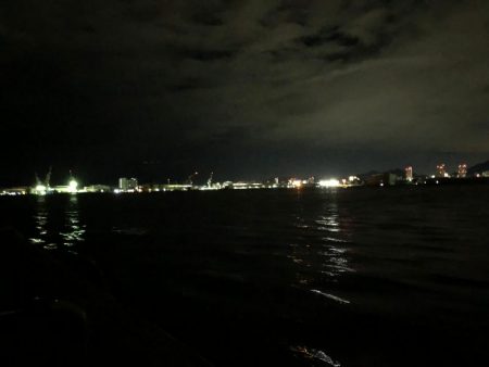 メジロ釣りたい