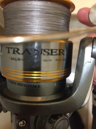 勉強になった1匹。