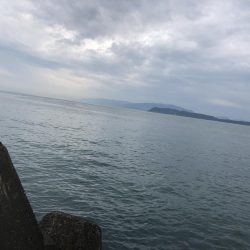 最近よくジグをなくす…