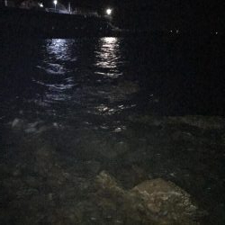 暇なのでちょいとイカ釣り！