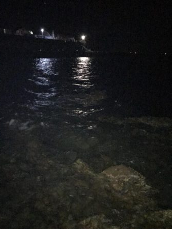 暇なのでちょいとイカ釣り！