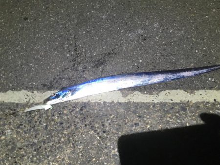 タチウオワインド＆アジング