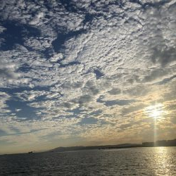 青物不調、刀好調。