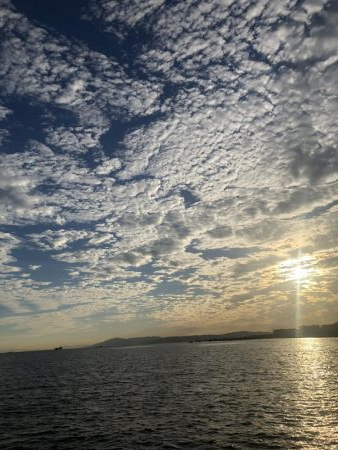 青物不調、刀好調。