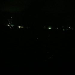 台風直前、タチウオ仕入れ