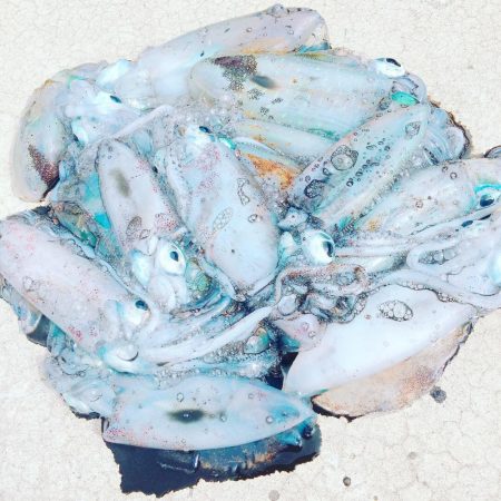 丹後半島夕マズメ&朝マズメ釣行！