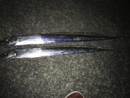 タチウオ釣りの後シーバス狙いに