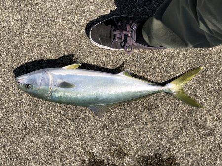 飲ませしか食わんかった