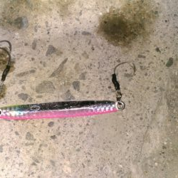 タチウオ狙いのはずが…