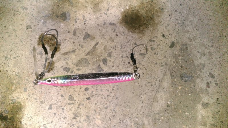 タチウオ狙いのはずが…