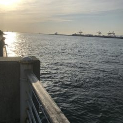 タチウオを求めて^ ^