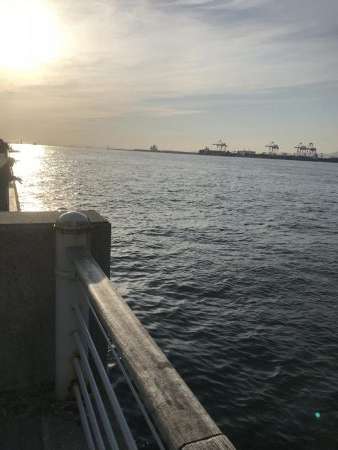 タチウオを求めて^ ^