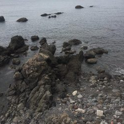 ひたすらエギング