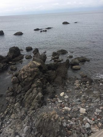 ひたすらエギング