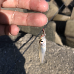 活性高めたちうぉぉぉぉぉお!