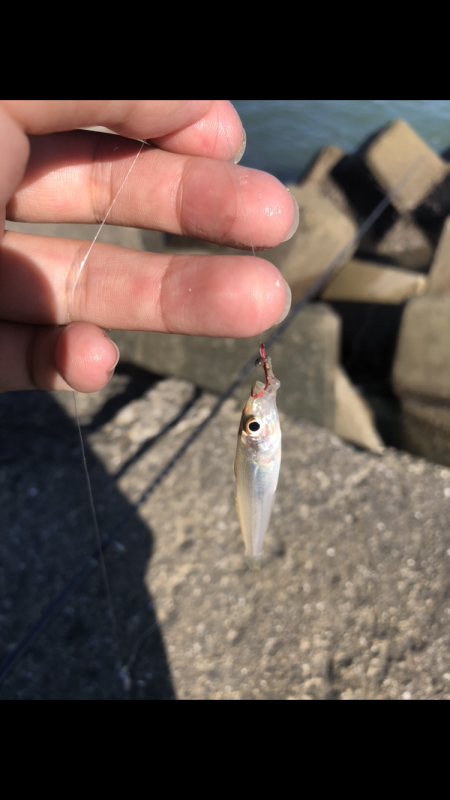 活性高めたちうぉぉぉぉぉお!