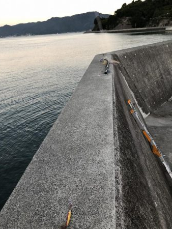 ライトショアジギング