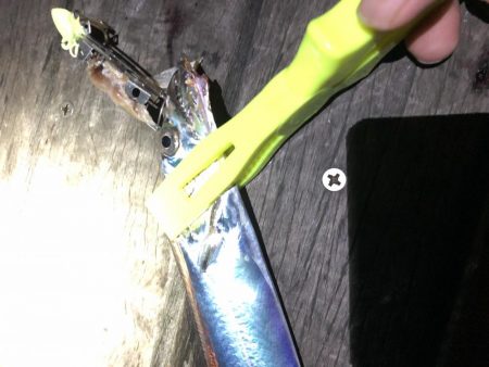 コスモスクエアの太刀魚2