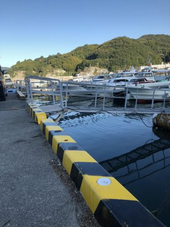 ライトショアジギング