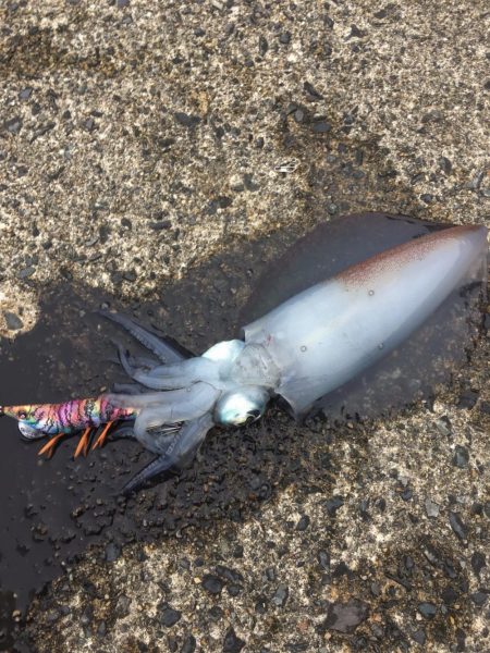 サイズアップしてますよ⤴&#…