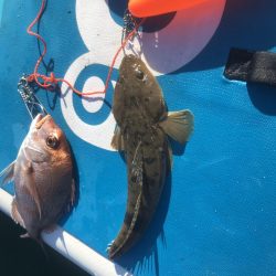 Supフィッシング