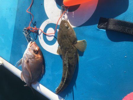 Supフィッシング