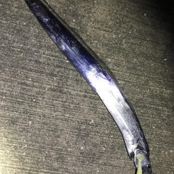 そして今宵も晩飯のおかずを求めて