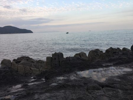 ショアジギング