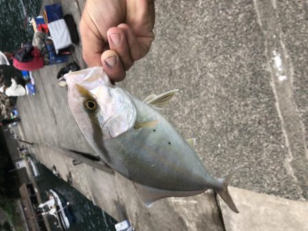 釣り日和なのに渋い