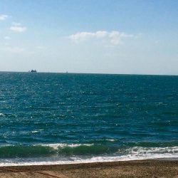 カレイ釣りでスズキ