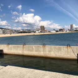 ファミリーフィッシング