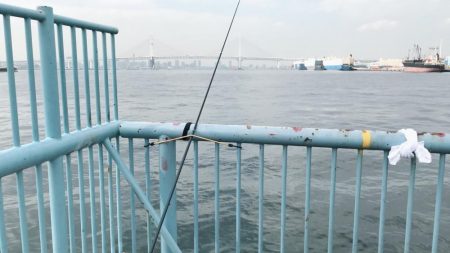 大黒ふ頭海釣り公園でやりました。