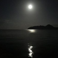 秋イカは何時がピーク？