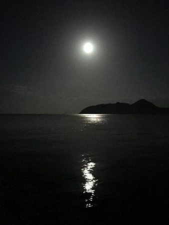 秋イカは何時がピーク？