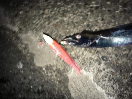 やっと湾の奥に入ってきた！