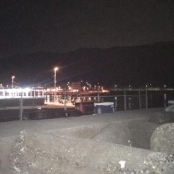 まずまずだぬぇ〜