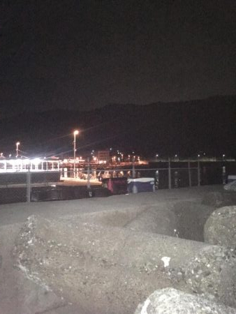 まずまずだぬぇ〜