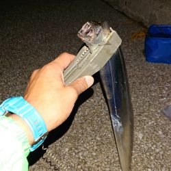 タチウオワインド