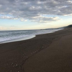 フラットフィッシュ狙い