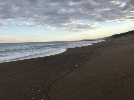 フラットフィッシュ狙い